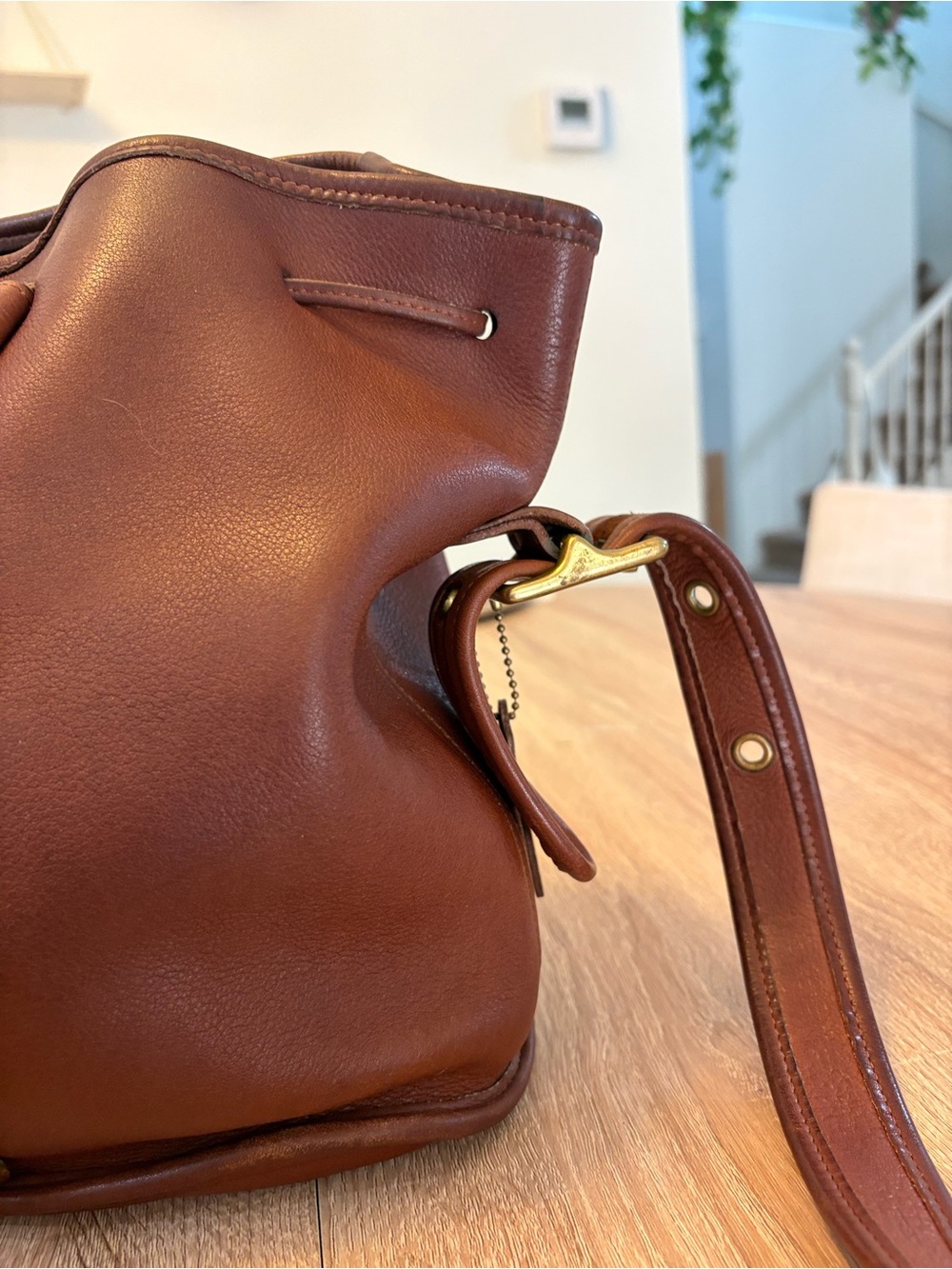 Coach Lula's Legacy Bucket Bag Leather - Picture 2 of 13
